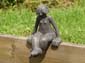 Gracienne