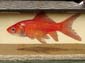 Bocal et poisson