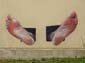 Les pieds