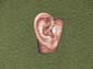 Oreille