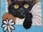Fillette et chat noir