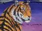 Tigre et enfants