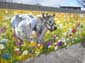 Vache laitière