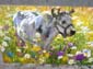 Vache laitière