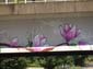 Fleurs et équations