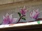 Fleurs et équations