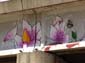 Fleurs et équations