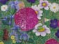 Fleurs et animaux