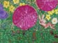 Fleurs et animaux