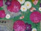 Fleurs et animaux