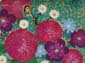 Fleurs et animaux