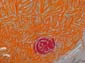 Calligraphie et pinceau-13