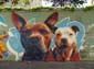 Roofus & Kilo
