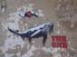 Baleine suspendue