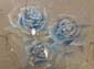 Roses bleues