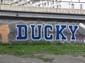 Ducky Boys