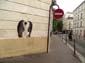Lézarts-2025 Levalet-02