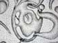 Volutes par points