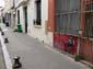 Souris en terrasse