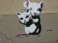 Souris chat-04