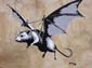 Chauve souris