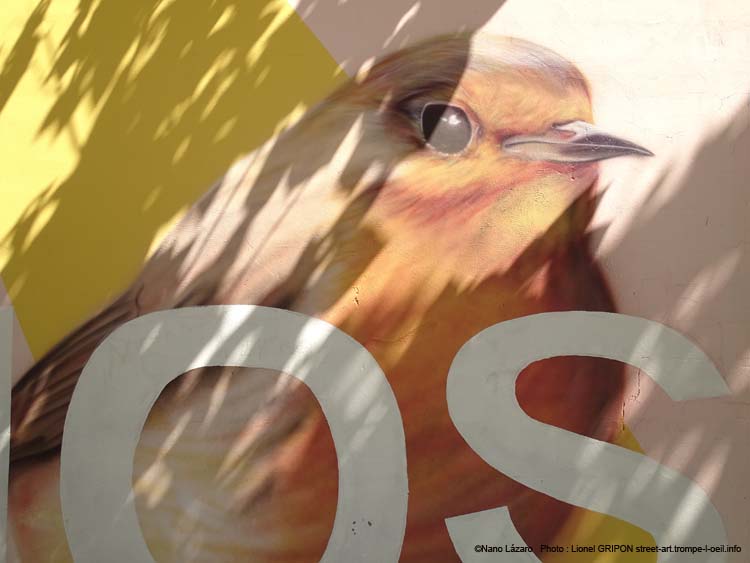 San Isidro Pajarillos