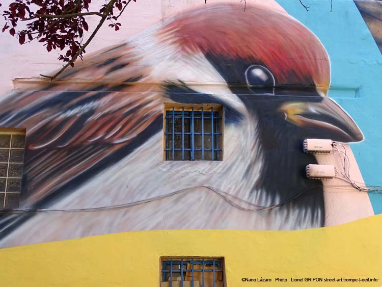 San Isidro Pajarillos