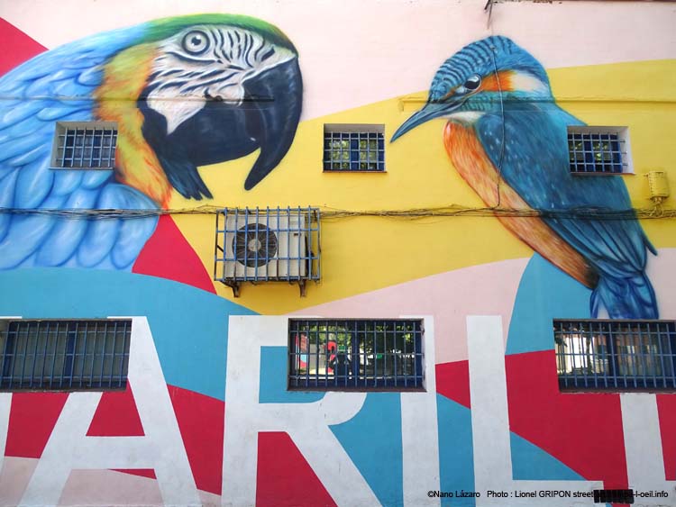 San Isidro Pajarillos