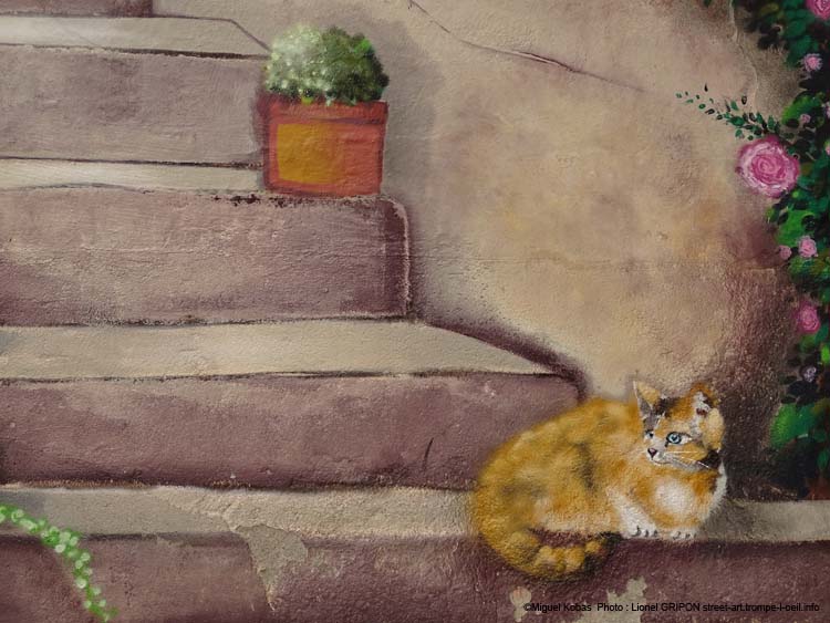 Chat et escalier