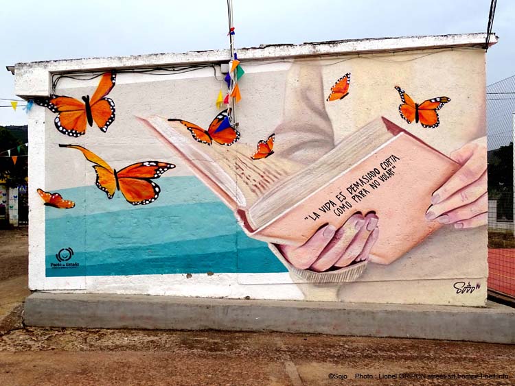 Garvín de la Jara-02