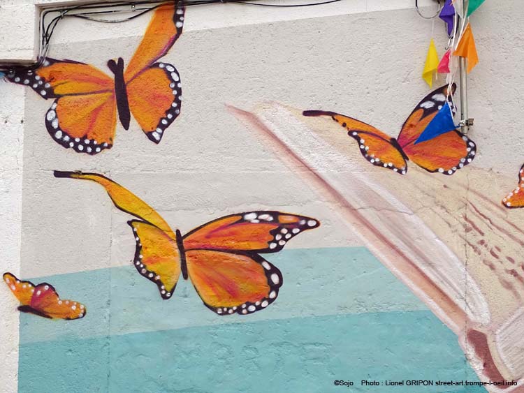 Garvín de la Jara-02