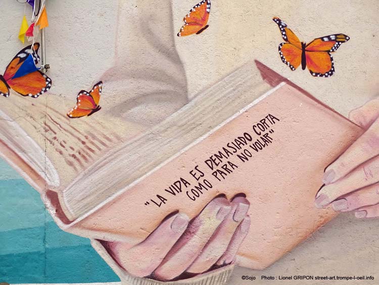 Garvín de la Jara-02