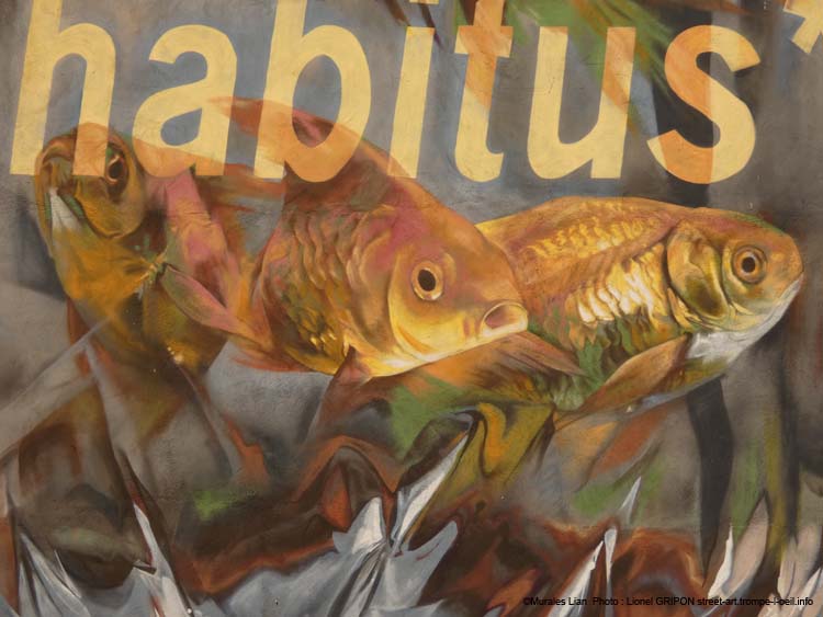 Habitus