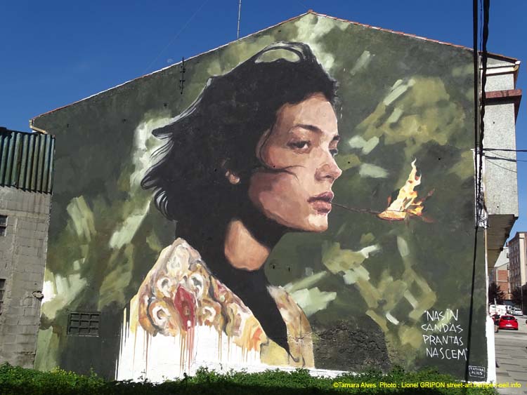 Quand naissent les plantes