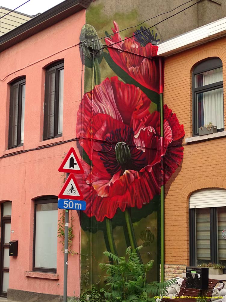 Le coquelicot