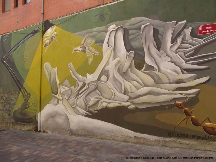 Carcasse et insectes