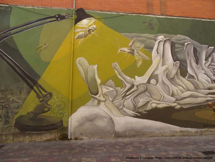 Carcasse et insectes