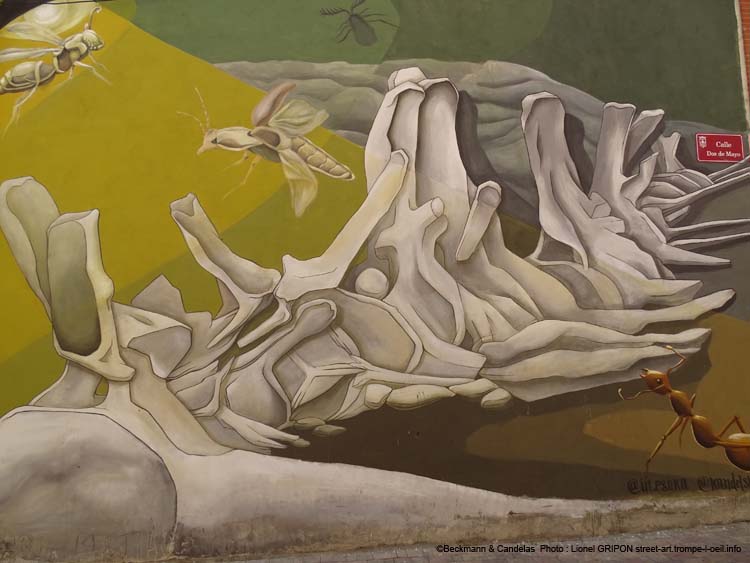 Carcasse et insectes