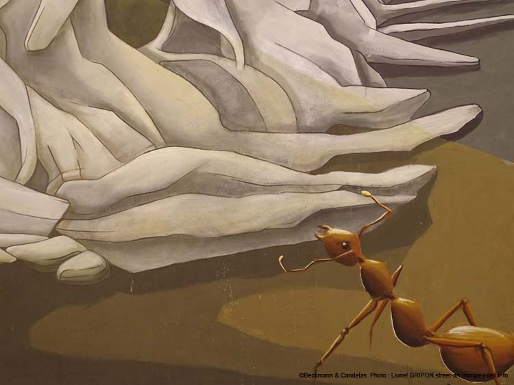 Carcasse et insectes