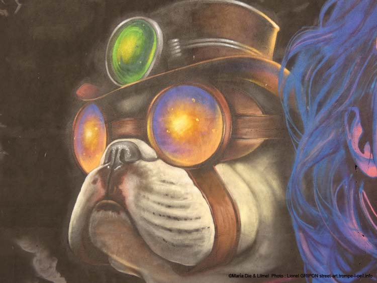 La belle et le chien